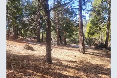 52547 Pine Cove, Idyllwild, CA 92549 - Photo 33