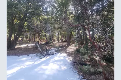 52547 Pine Cove, Idyllwild, CA 92549 - Photo 15
