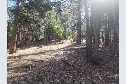 52547 Pine Cove, Idyllwild, CA 92549 - Photo 23