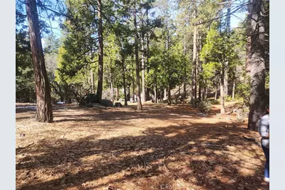 52547 Pine Cove, Idyllwild, CA 92549 - Photo 31