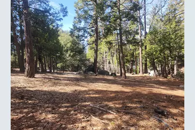 52547 Pine Cove, Idyllwild, CA 92549 - Photo 41