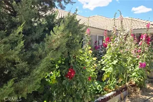 9562 Cambria Ct, Phelan, CA 92371 - Photo 5