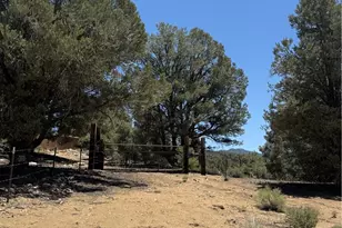 98417 Sierra Meadows Rd, Kennedy Meadows, CA 93527 - Photo 35
