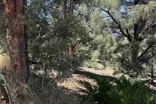 98417 Sierra Meadows Rd, Kennedy Meadows, CA 93527 - Photo 19