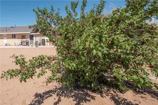 10707 Redwood, Hesperia, CA 92345 - Photo 25