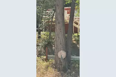 384 Ca-138, Crestline, CA 92325 - Photo 3