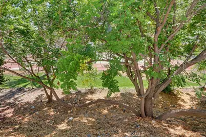 31244 Lakehills Road, Castaic, CA 91384 - Photo 63