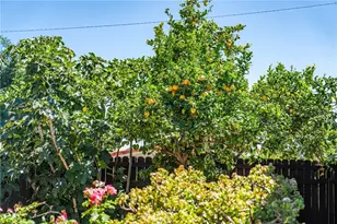 1873 Homeworth, Rancho Palos Verdes, CA 90275 - Photo 39