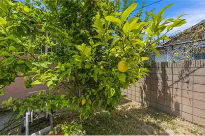 1659 W 39th Street, Los Angeles, CA 90062 - Photo 49