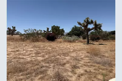 12225 Lager, Phelan, CA 92371 - Photo 15