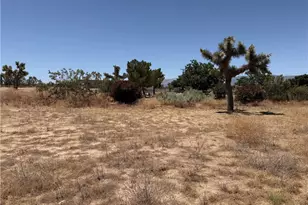 12225 Lager, Phelan, CA 92371 - Photo 15