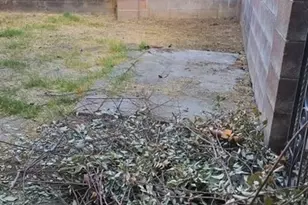 1454 W Gettysburg, Fresno, CA 93705 - Photo 17