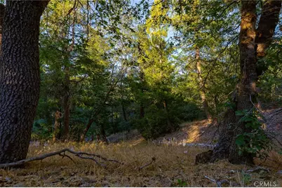 0 Ridge Drive, Cedarpines Park, CA 92322 - Photo 1
