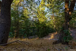 0 Ridge Dr, Cedarpines Park, CA 92322 - Photo 1