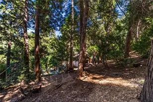 24599 Geneva Dr, Crestline, CA 92325 - Photo 37