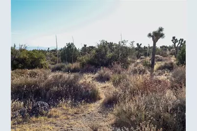 1 Pine Tree Road, Pinon Hills, CA 92372 - Photo 15