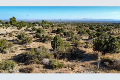 1 Pine Tree Road, Pinon Hills, CA 92372 - Photo 37