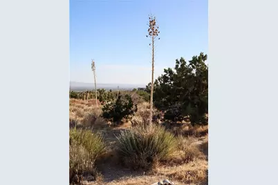 1 Pine Tree Road, Pinon Hills, CA 92372 - Photo 23
