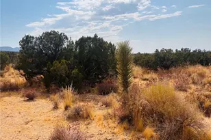 0 Vac/Vic, Llano, CA 93544 - Photo 1