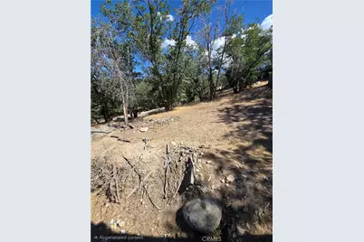 33460 Lakeview, Running Springs, CA 92382 - Photo 3
