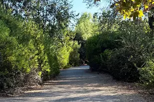 19320 Eureka River Pl, Walnut, CA 91789 - Photo 55