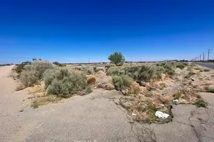 11252 Cactus, Adelanto, CA 92301 - Photo 9