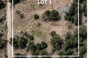 45814 Falling Springs, Big Bear City, CA 92314 - Photo 1