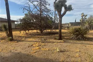 3601 Balsa, Yucca Valley, CA 92284 - Photo 7