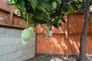 1766 Benedict Way, Pomona, CA 91767 - Photo 25