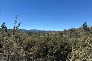 1228 Acadia, Lake Arrowhead, CA 92352 - Photo 19