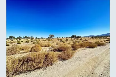 11975 Primavera Road, Pinon Hills, CA 92372 - Photo 13