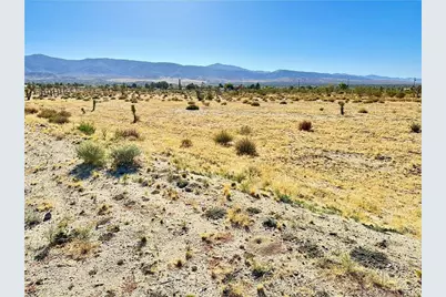 11975 Primavera Road, Pinon Hills, CA 92372 - Photo 11