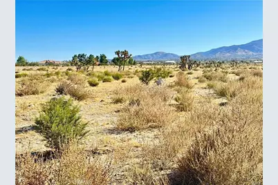 11975 Primavera Road, Pinon Hills, CA 92372 - Photo 9