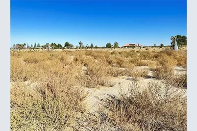 12025 Primavera Road, Pinon Hills, CA 92372 - Photo 3