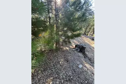 2335 Deep Creek, Running Springs, CA 92382 - Photo 7