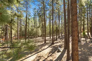 5809 Pine St, Wrightwood, CA 92397 - Photo 55
