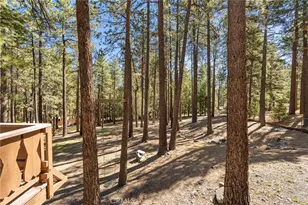 5809 Pine St, Wrightwood, CA 92397 - Photo 17