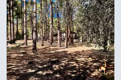 5809 Pine Street, Wrightwood, CA 92397 - Photo 15