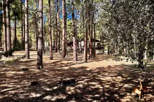5809 Pine St, Wrightwood, CA 92397 - Photo 15