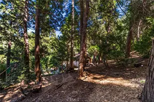24599 Geneva, Crestline, CA 92325 - Photo 37