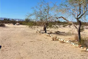 241 Alfalfa, 29 Palms MCB, CA 92277 - Photo 21