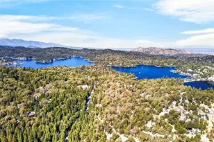 29243 Hook Creek, Cedar Glen, CA 92321 - Photo 47