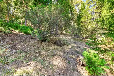 29243 Hook Creek, Cedar Glen, CA 92321 - Photo 43