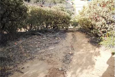 51201 Deer Mountain, Anza, CA 92539 - Photo 21