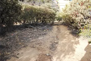 51201 Deer Mountain, Anza, CA 92539 - Photo 21