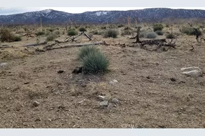 260 Avenue Z14/260 Ste, Llano, CA 93544 - Photo 1