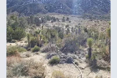 0 Vac/Vic Avenue Z14/235 Ste, Llano, CA 93544 - Photo 3