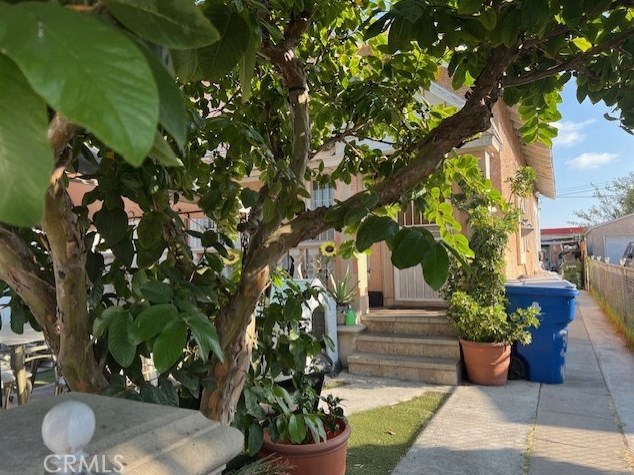 344 84 Pl, Los Angeles CA  90003-3106 exterior