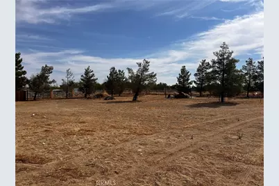 36646 92nd Street, Littlerock, CA 93543 - Photo 31