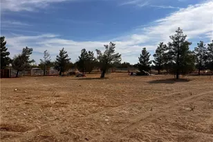 36646 92nd St, Littlerock, CA 93543 - Photo 31